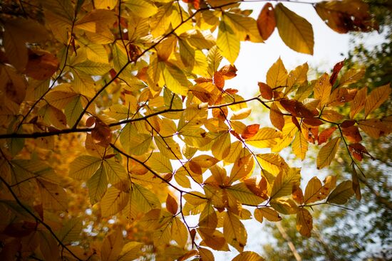 Autumn in Krasnodar Territory