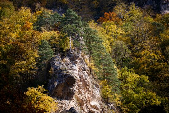 Autumn in Krasnodar Territory