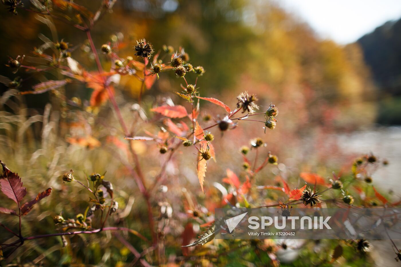 Autumn in Krasnodar Territory