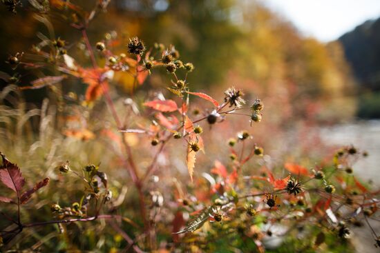 Autumn in Krasnodar Territory