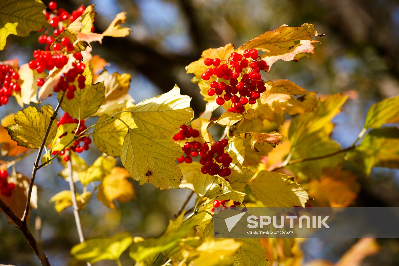 Autumn in Krasnodar Territory