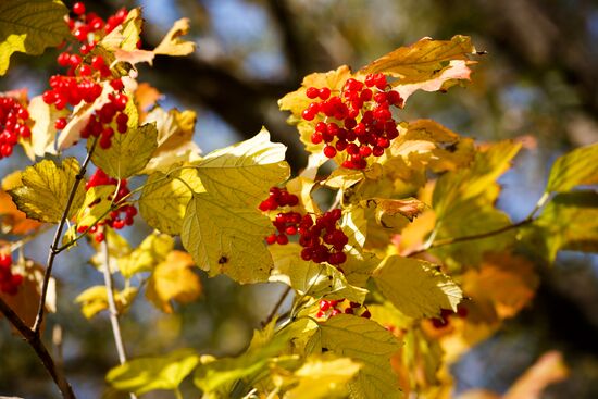 Autumn in Krasnodar Territory
