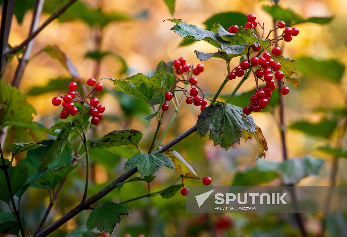 Autumn in Krasnodar Territory
