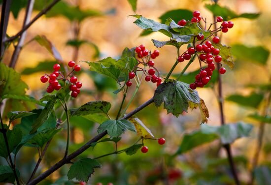 Autumn in Krasnodar Territory