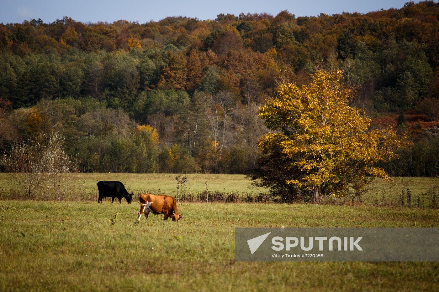 Autumn in Krasnodar Territory