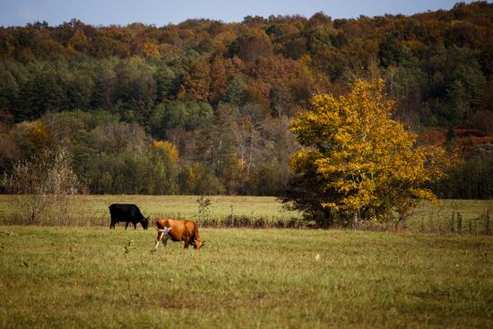 Autumn in Krasnodar Territory