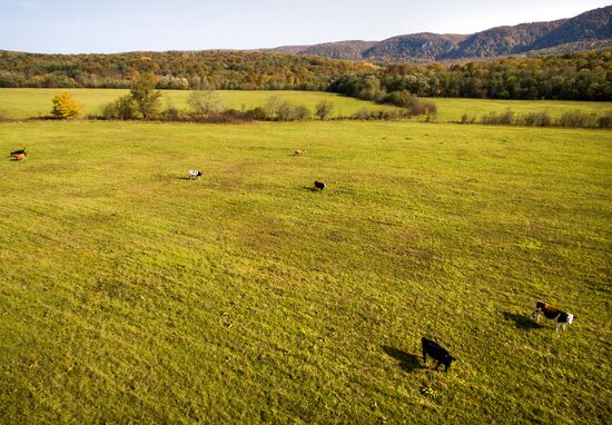 Autumn in Krasnodar Territory