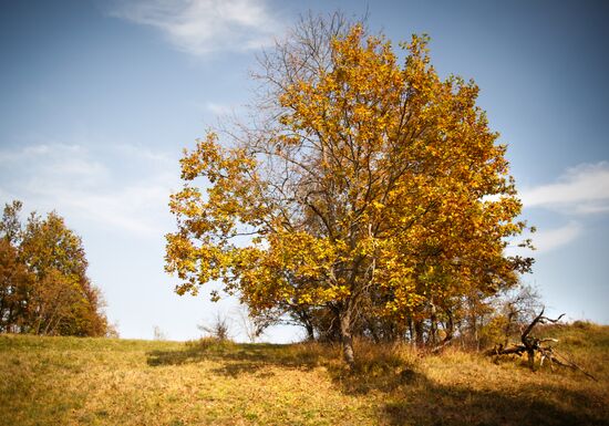 Autumn in Krasnodar Territory