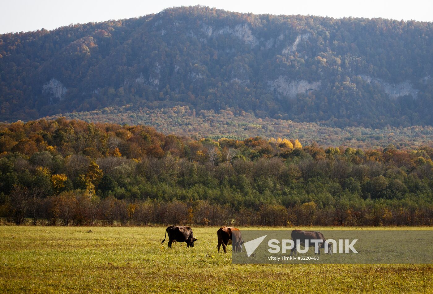 Autumn in Krasnodar Territory