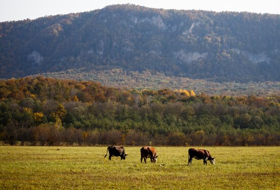 Autumn in Krasnodar Territory