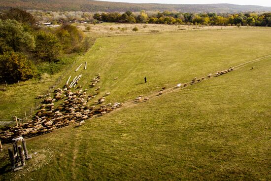 Autumn in Krasnodar Territory