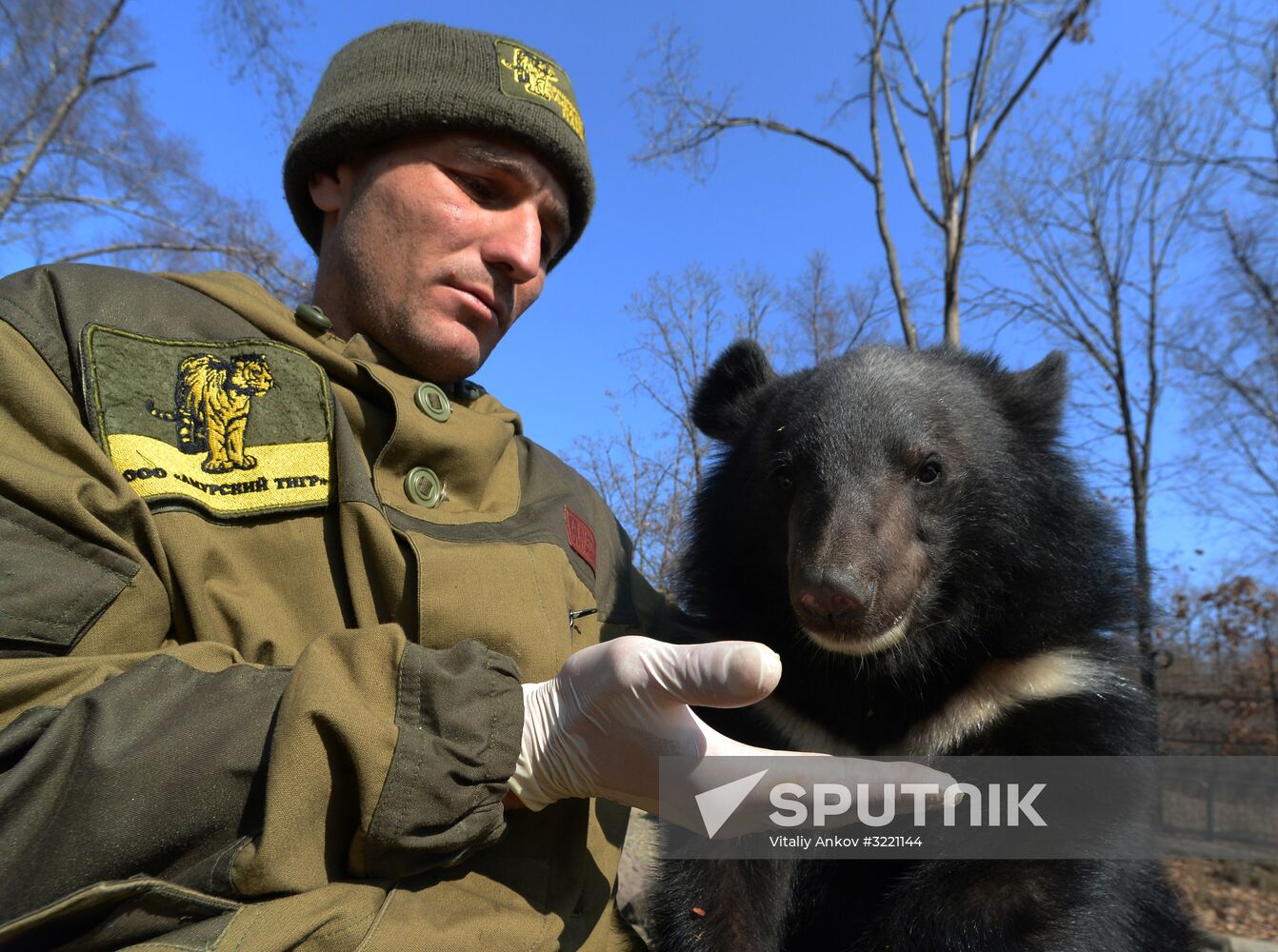 Asian black bears at Primorye Territory Safari Park