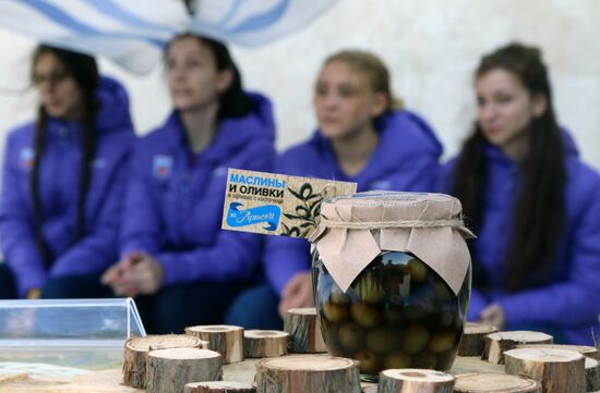 Artek Olives festival in Crimea