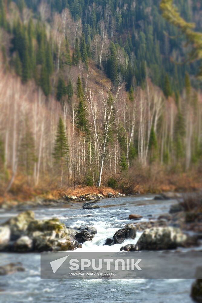 Fall in Siberia