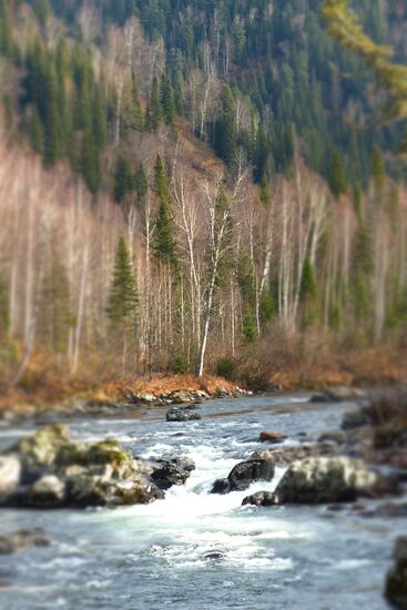 Fall in Siberia