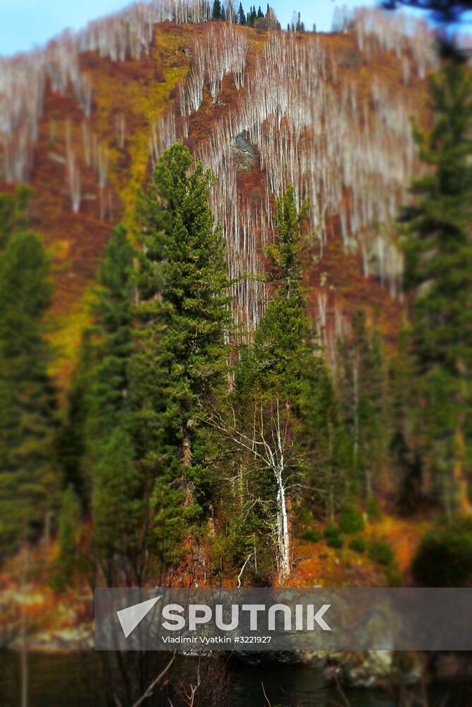 Fall in Siberia