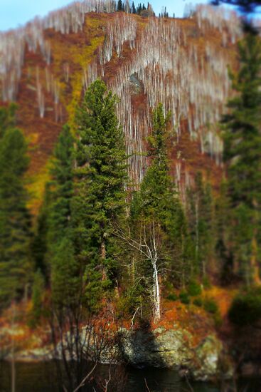 Fall in Siberia