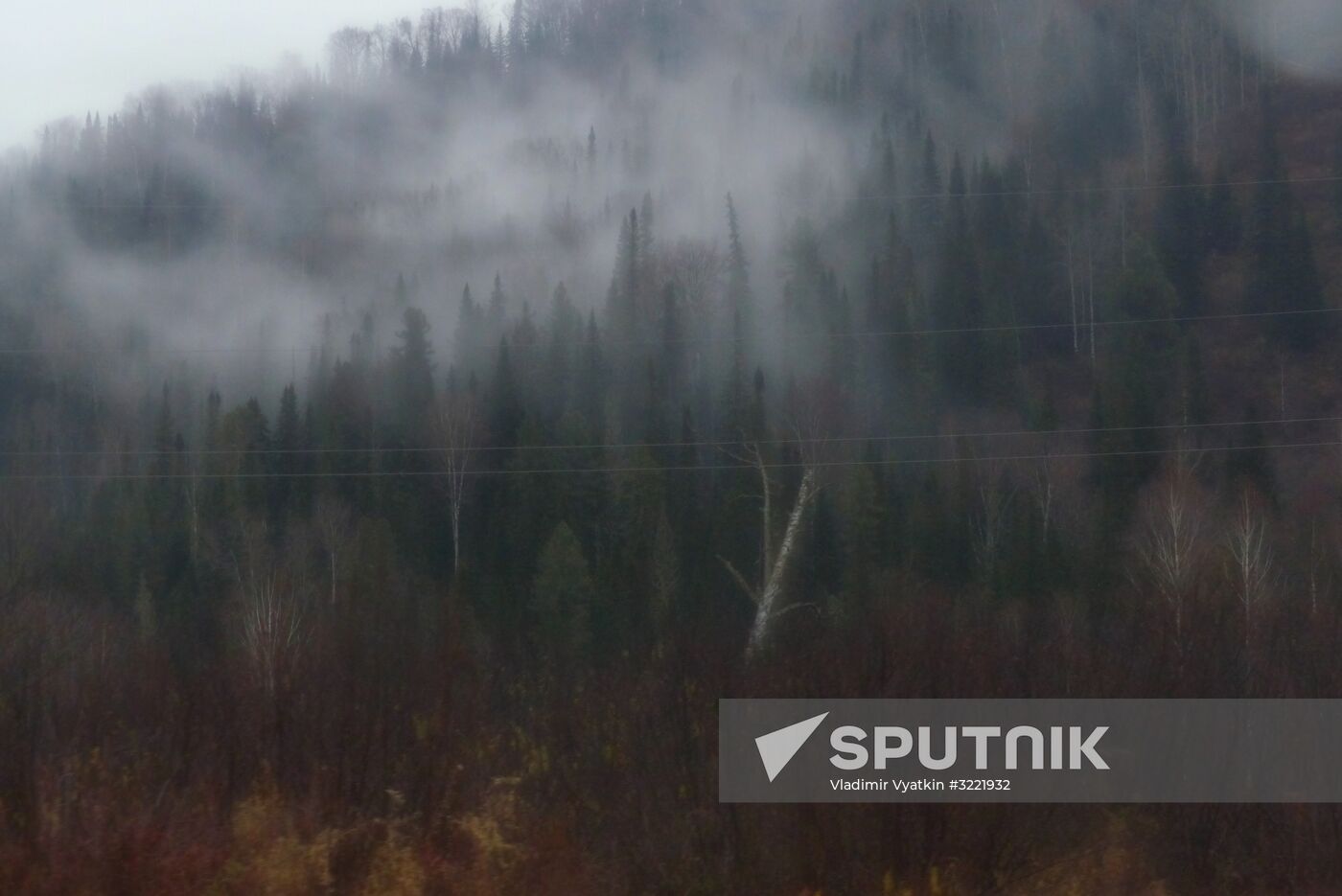 Fall in Siberia