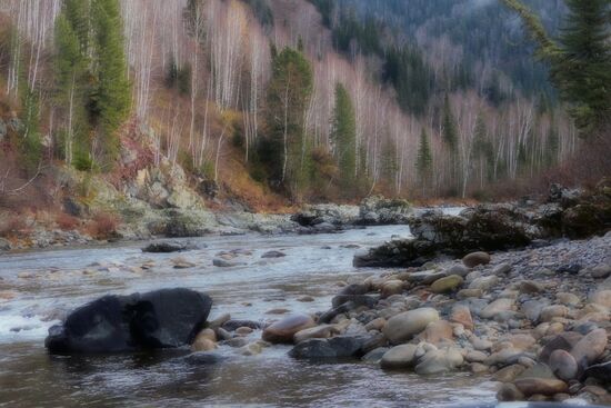 Fall in Siberia