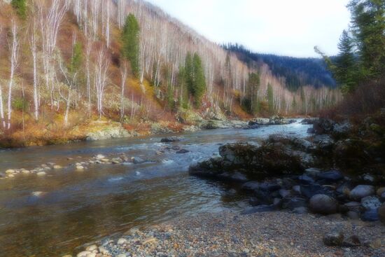 Fall in Siberia