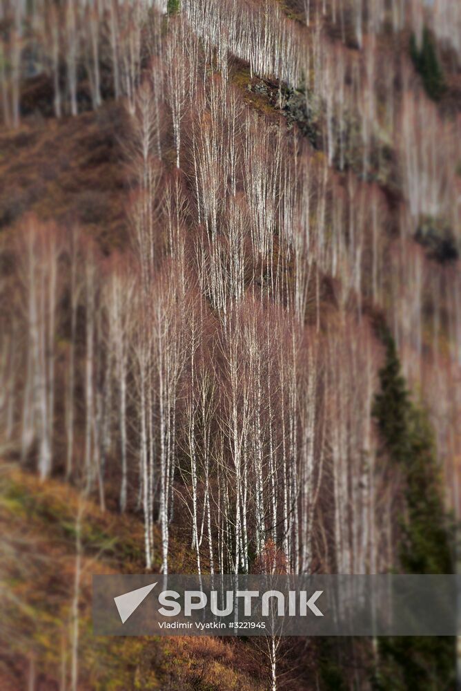 Fall in Siberia
