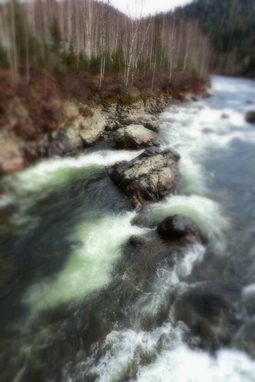 Fall in Siberia