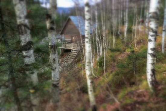 Autumn in Siberia