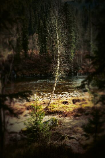 Fall in Siberia