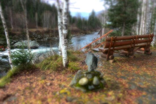 Fall in Siberia