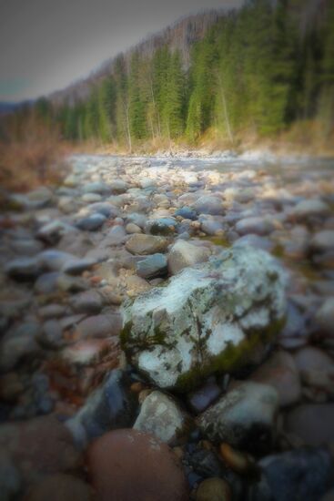Fall in Siberia