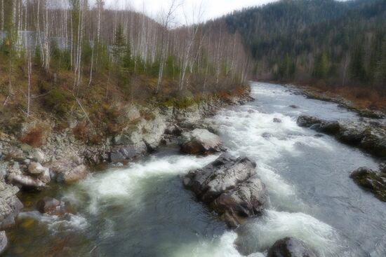 Fall in Siberia