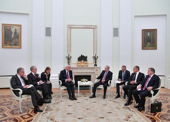 President Vladimir Putin meets with President of Germany Frank-Walter Steinmeier