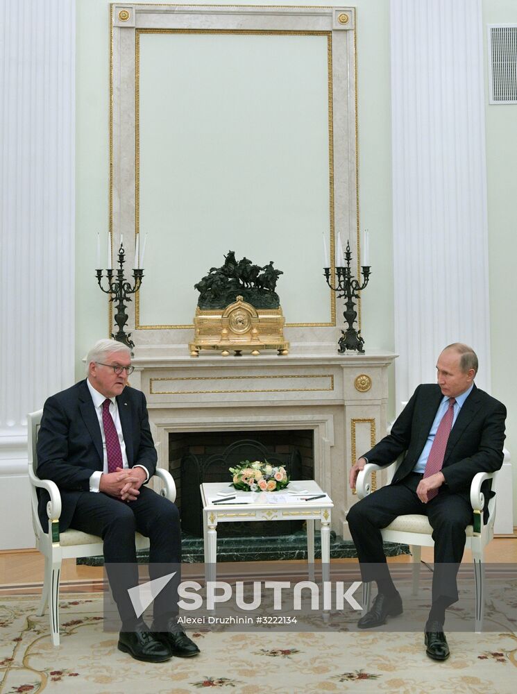 President Vladimir Putin meets with President of Germany Frank-Walter Steinmeier