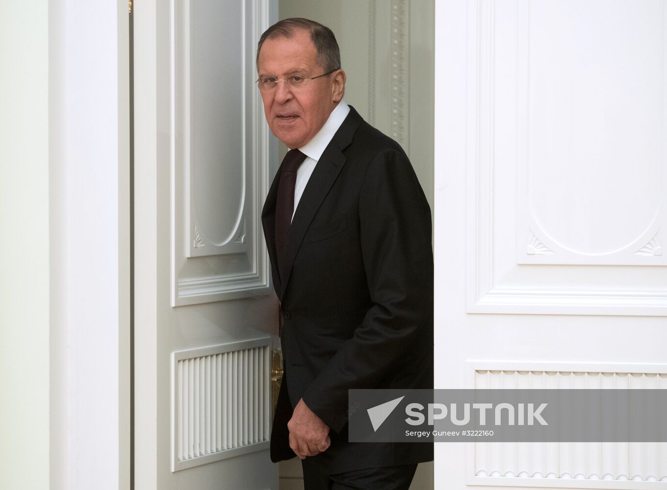President Vladimir Putin meets with President of Germany Frank-Walter Steinmeier