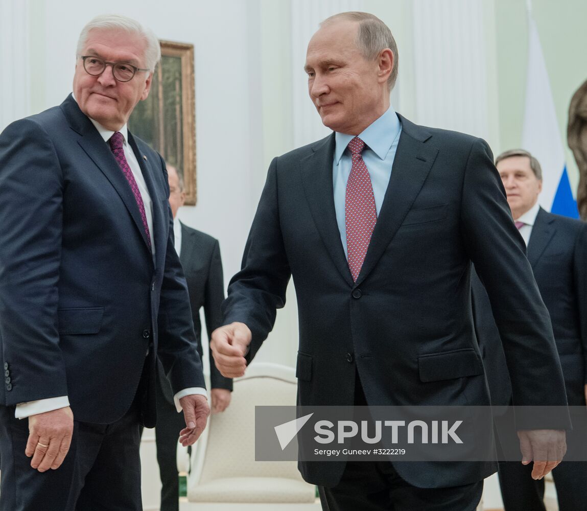 President Vladimir Putin meets with President of Germany Frank-Walter Steinmeier