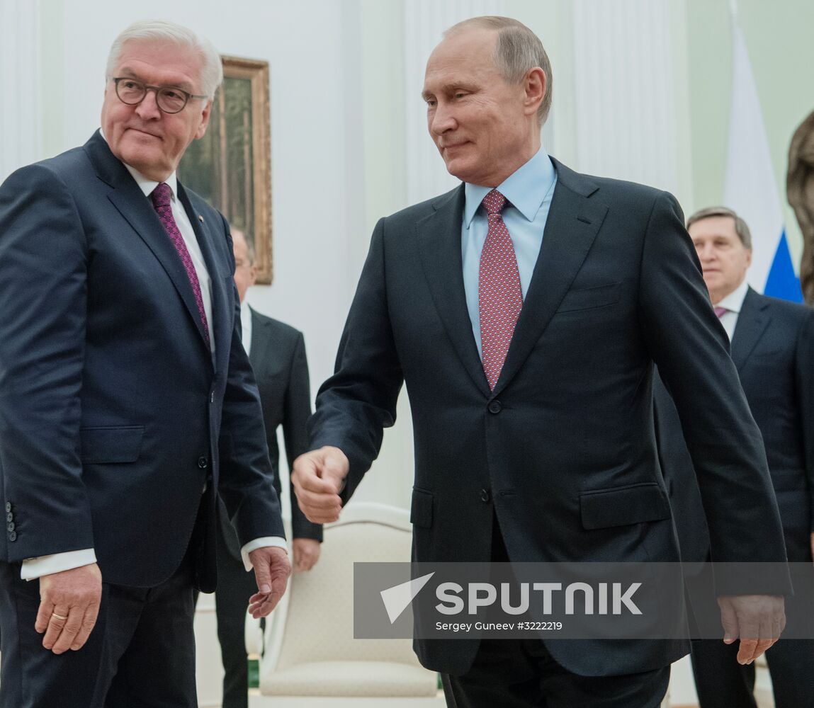 President Vladimir Putin meets with President of Germany Frank-Walter Steinmeier