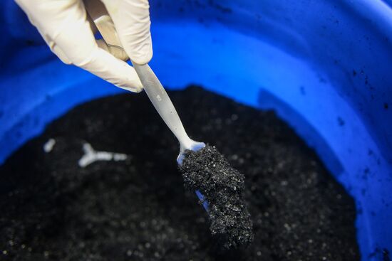 Single-walled carbon nanotubes produced by Syberian company OCSiAl