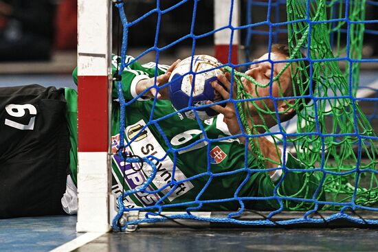 Handball. 2019 Men's World Championship Qualification match. Russia vs Slovakia