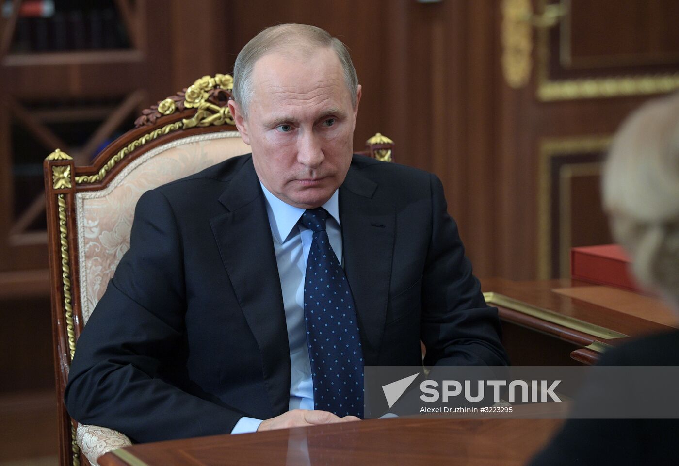 President Vladimir Putin meets with Deputy Prime Minister Olga Golodets