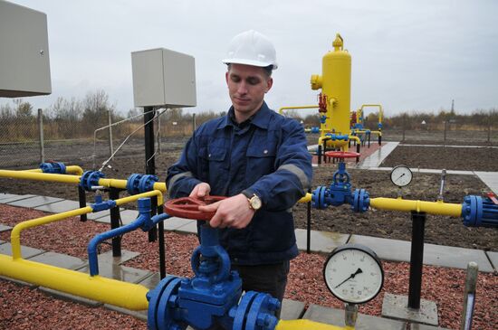 Bystritska gas field launched in Lviv Region
