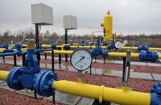 Bystritska gas field launched in Lviv Region