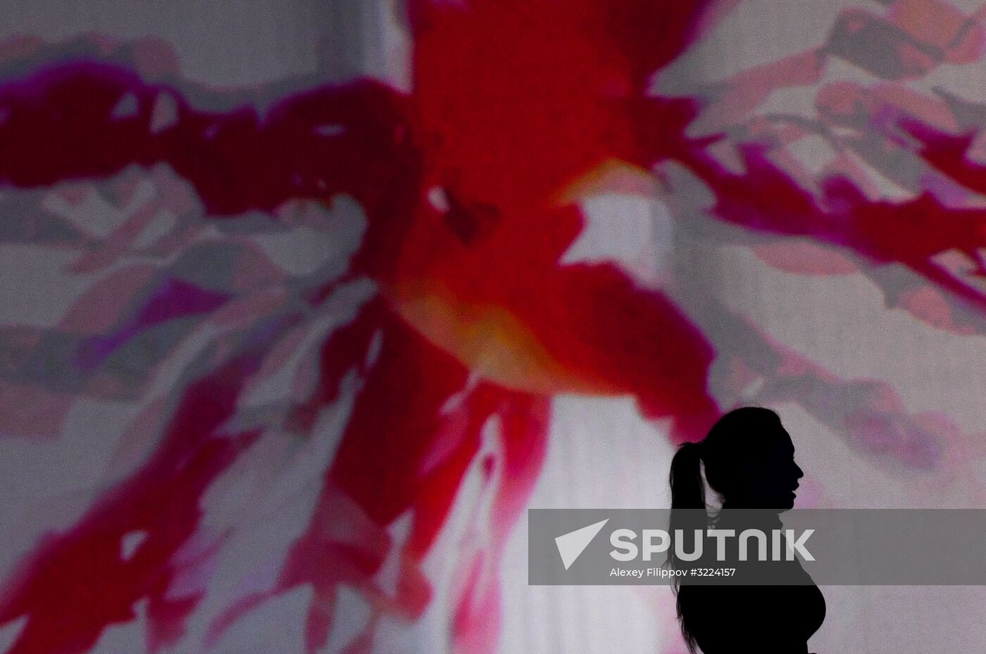 Final rehearsal of Alexei Nemov's show 'Legends of Sport: The Ascent'