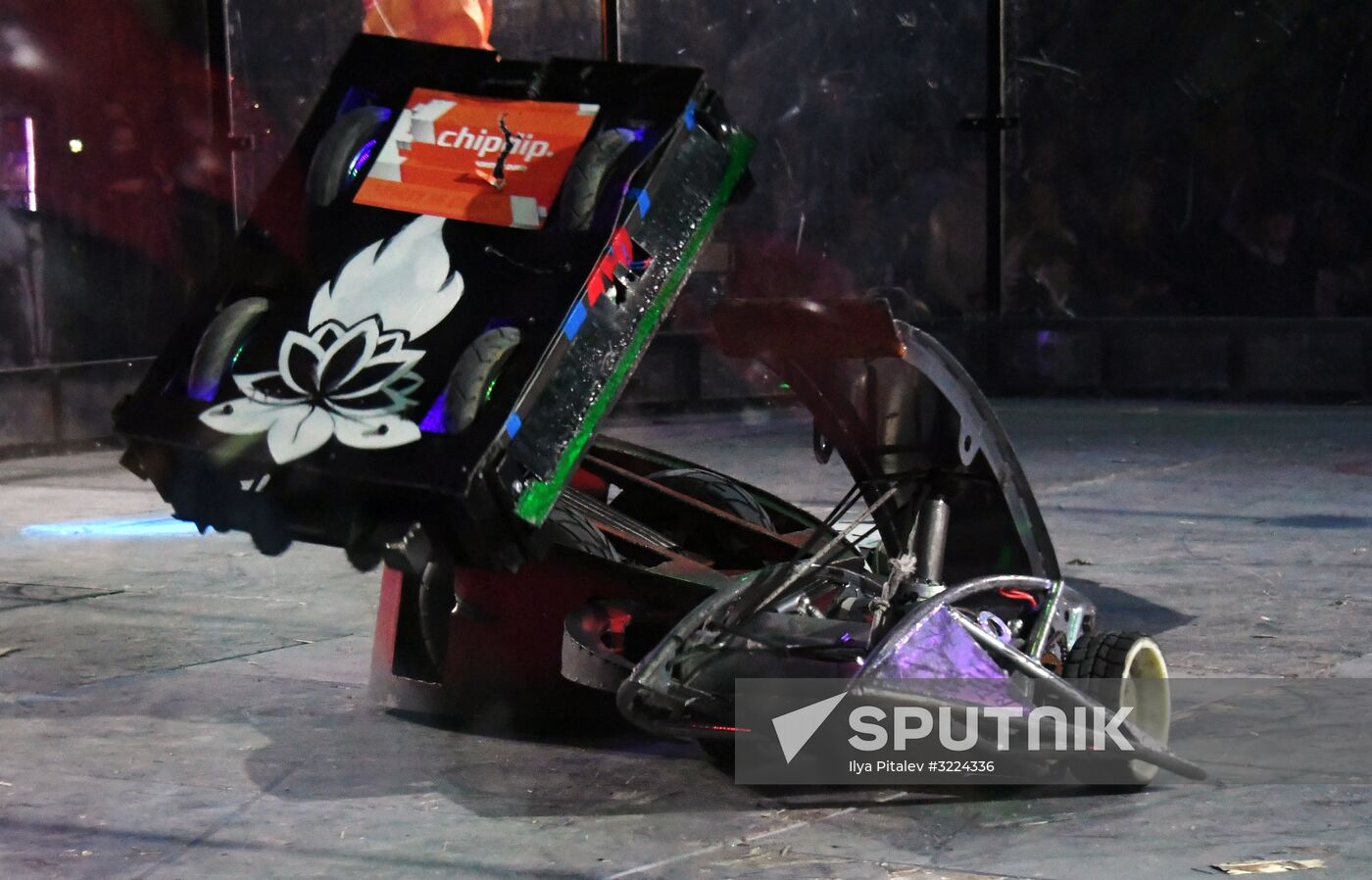 Bronebot international robot fights