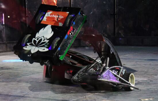 Bronebot international robot fights