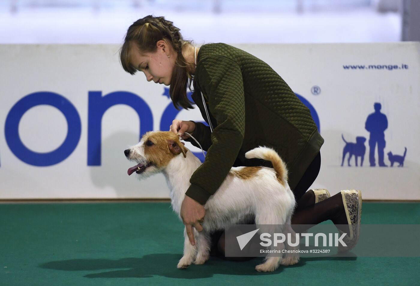Dog show in Moscow