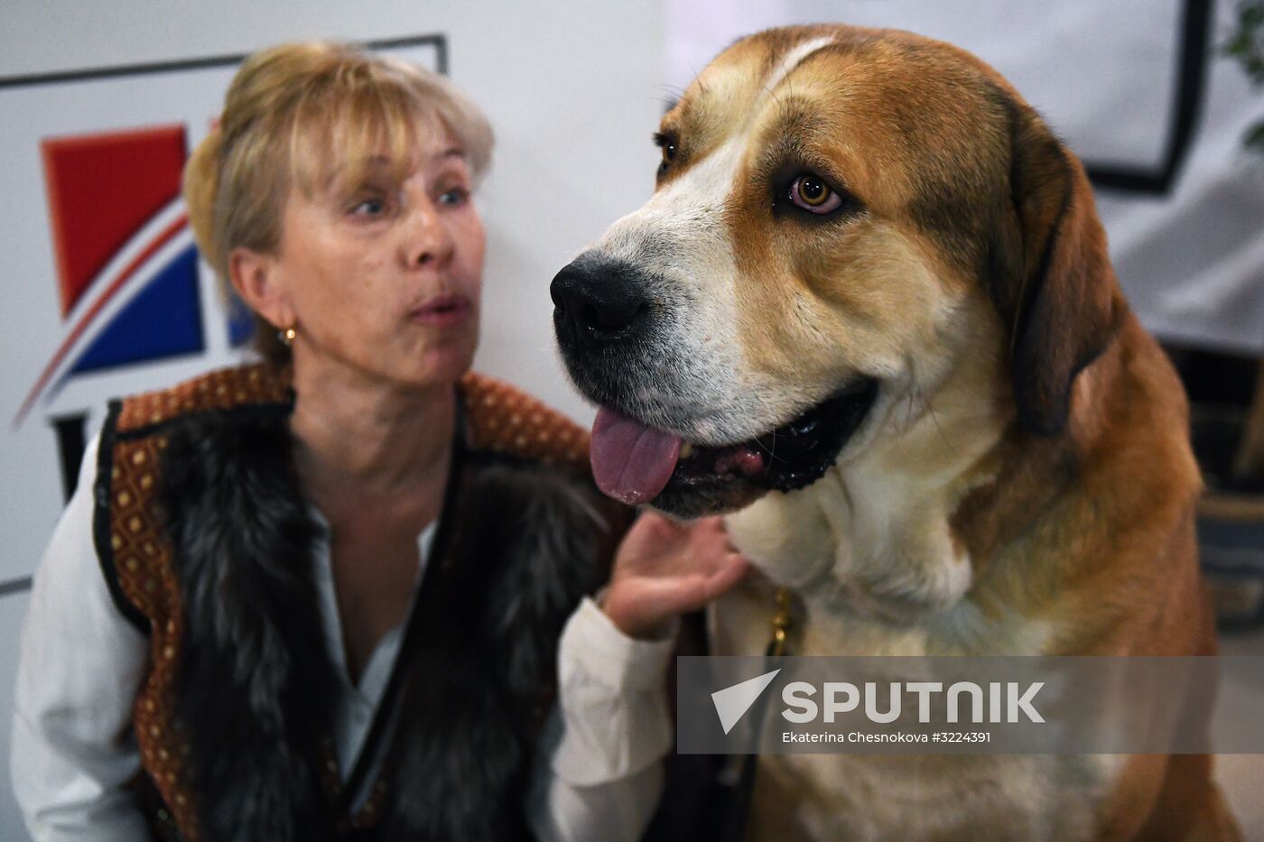 Dog show in Moscow