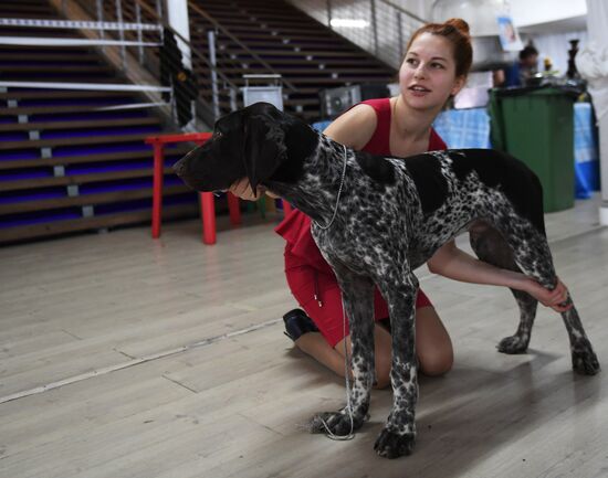 Dog show in Moscow