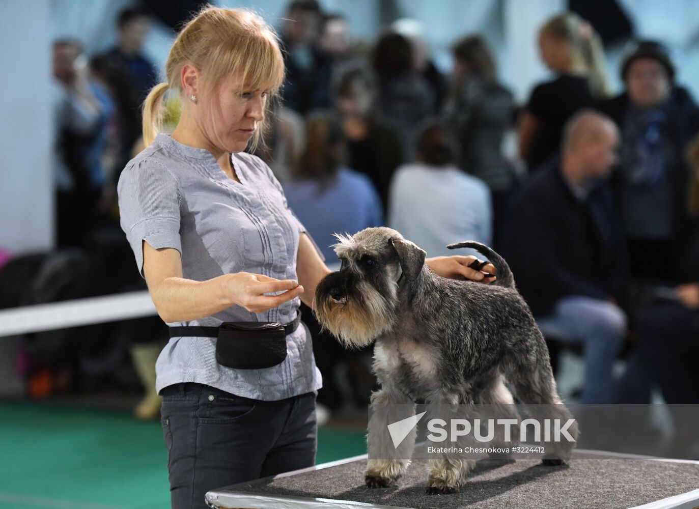 Dog show in Moscow