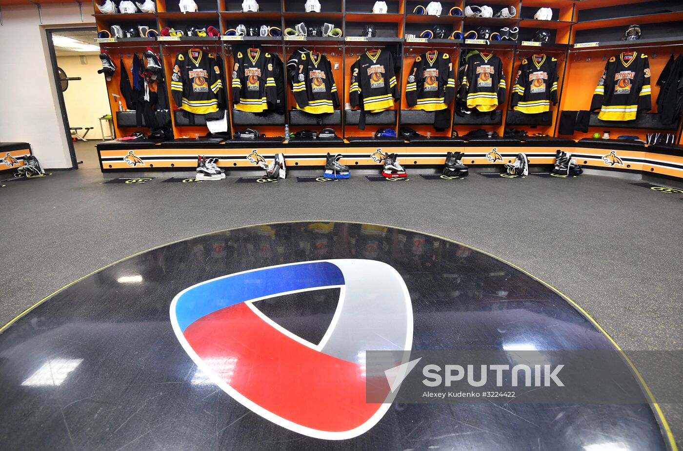 Ice hockey. KHL. Severstal vs. Sibir