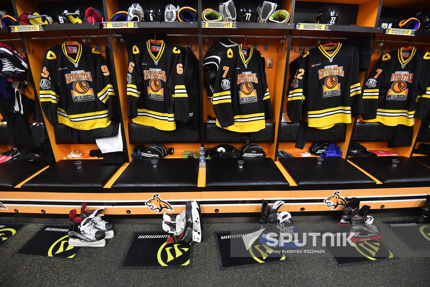 Ice hockey. KHL. Severstal vs. Sibir